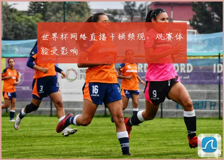 世界杯网络直播卡顿频现，观赛体验受影响