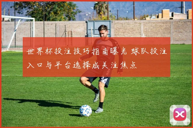 世界杯投注技巧指南曝光 球队投注入口与平台选择成关注焦点