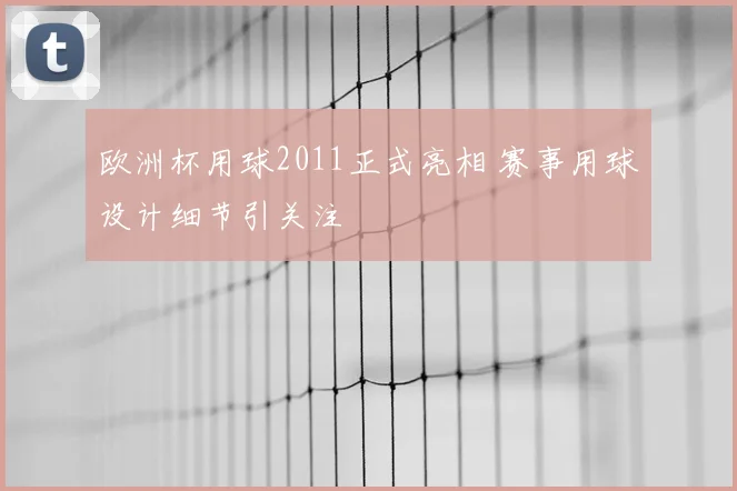 欧洲杯用球2011正式亮相 赛事用球设计细节引关注