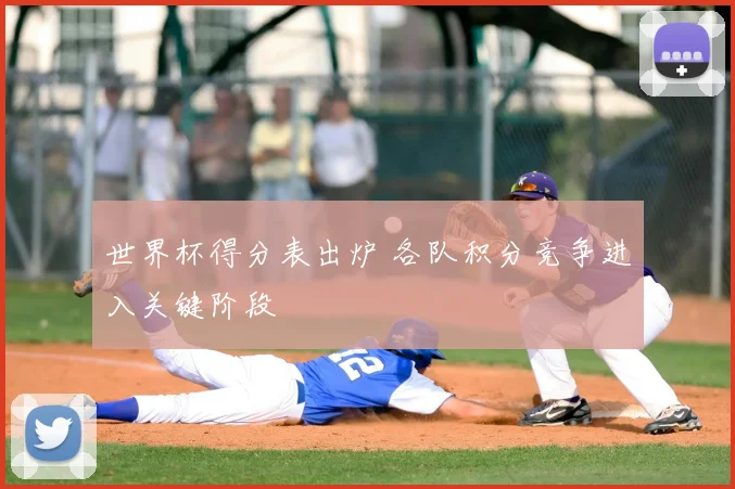 世界杯得分表出炉 各队积分竞争进入关键阶段