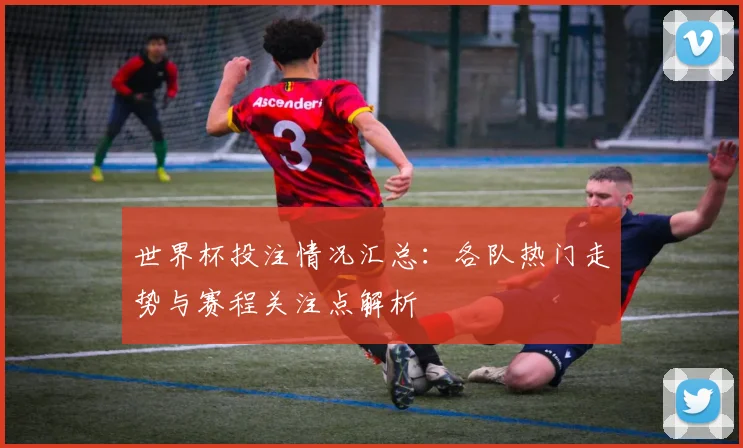 世界杯投注情况汇总：各队热门走势与赛程关注点解析